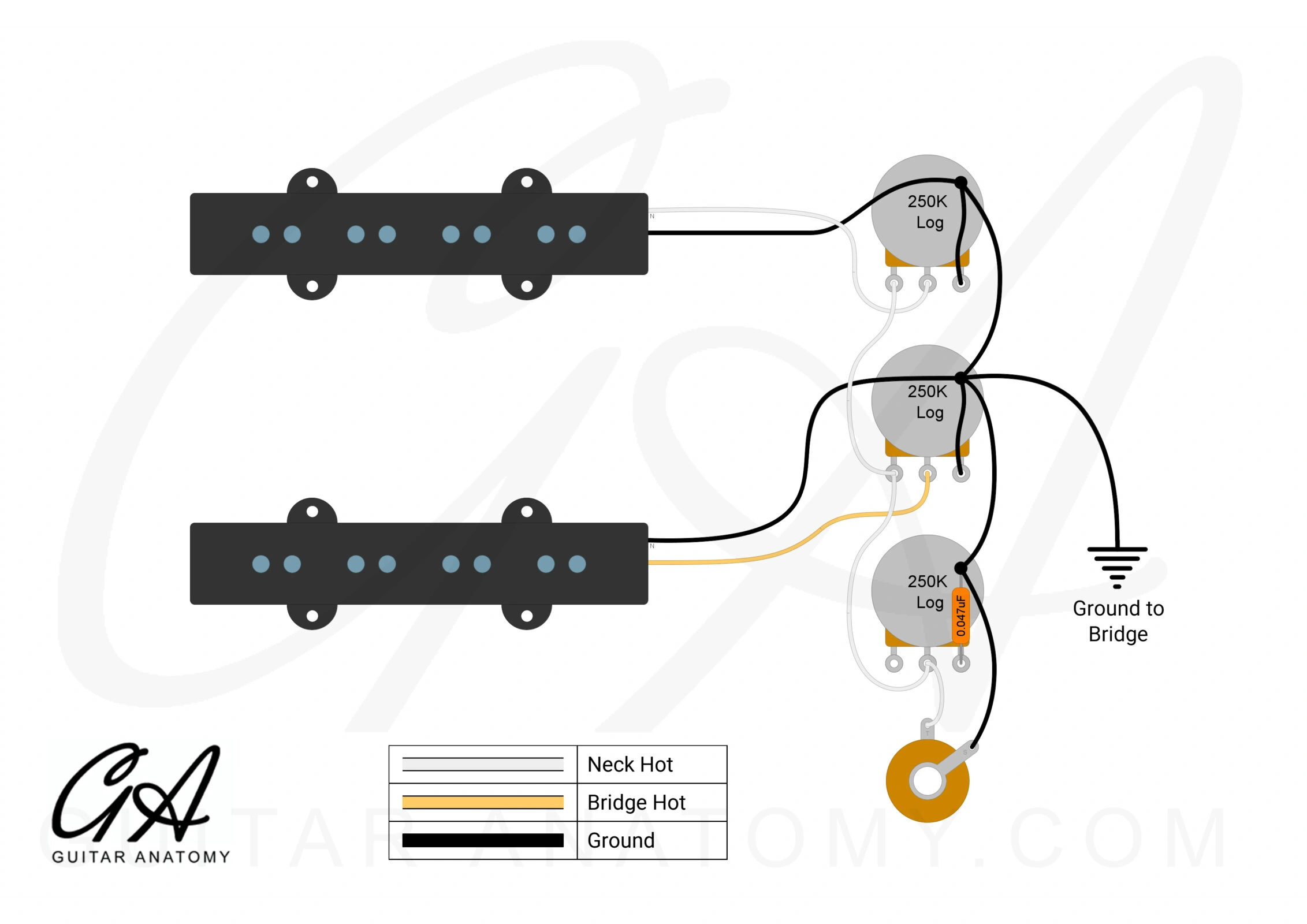 Jazz Bass Wiring Diagram- Guitar Anatomy