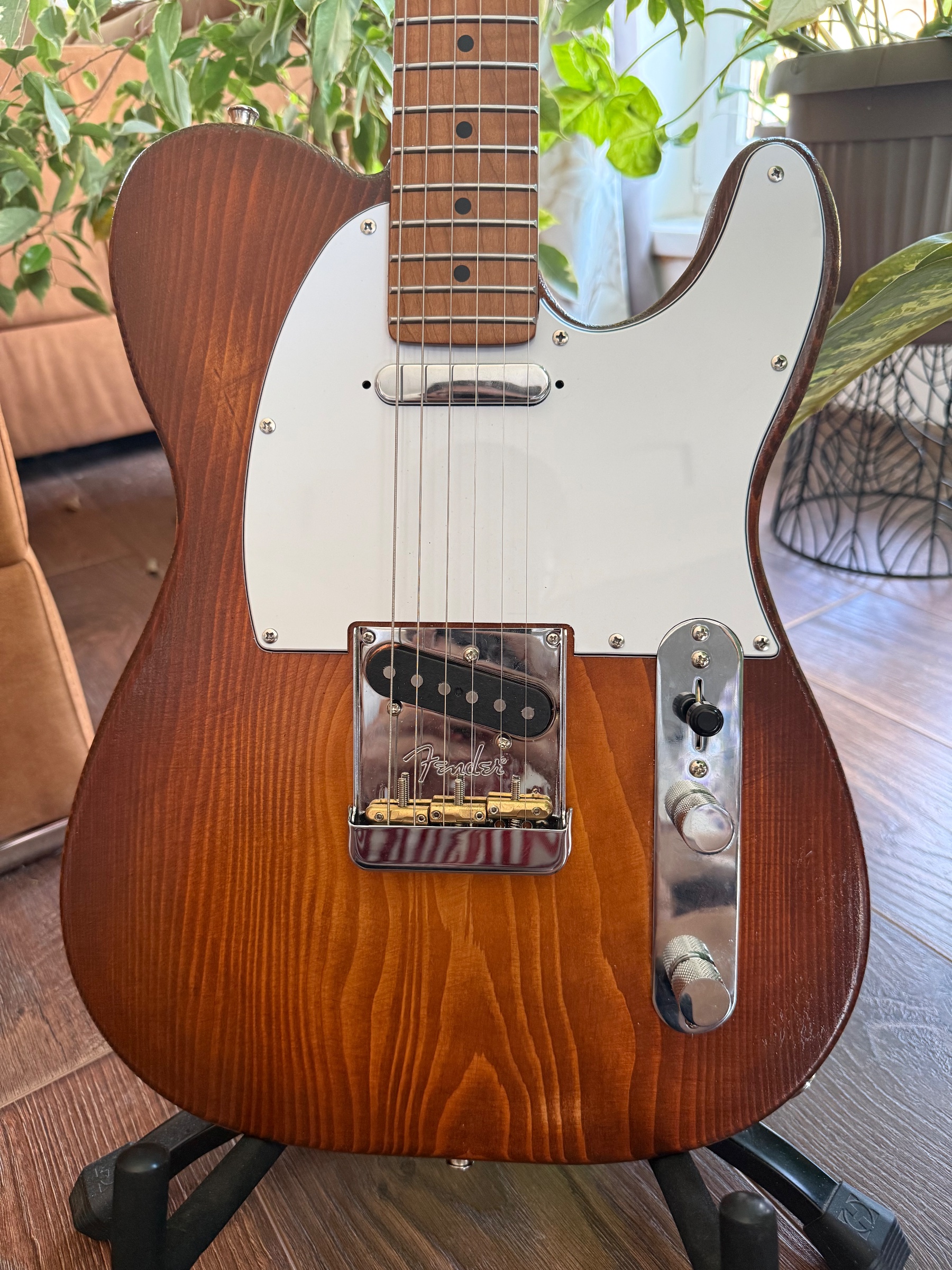 MN Custom Tele partscaster (Fir Tree Body)