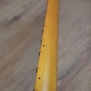 Vintage Tele Neck by Guitar Anatomy