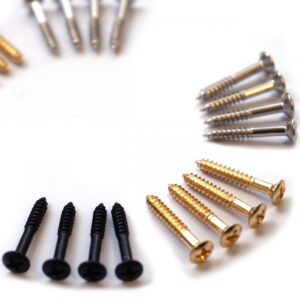 Humbucker Surround Screw by Guitar Anatomy