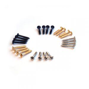 Humbucker Surround Screw by Guitar Anatomy