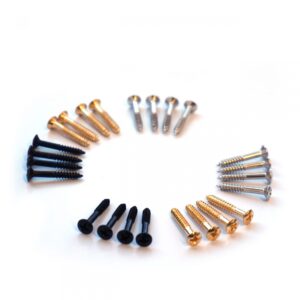 Humbucker Surround Screw by Guitar Anatomy