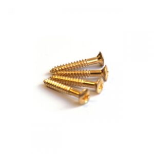 Humbucker Surround Screw by Guitar Anatomy