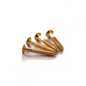 Humbucker Surround Screw by Guitar Anatomy