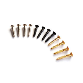 Telecaster Ashtray Screws x4 – Available in Chrome, Black, Gold