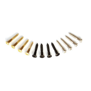 Telecaster Ashtray Screws x4 - Chrome, Black, Gold | Guitar Anatomy