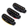 Single Coil Pickup for Stratocaster Guitars - Black | Guitar Anatomy