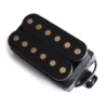 Modern Humbucker Bridge Pickup – Black | Guitar Anatomy