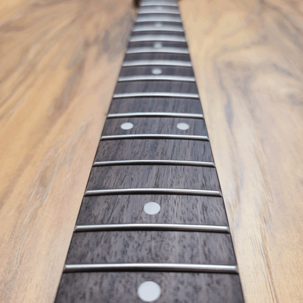 Guitar Anatomy Telecaster Neck - Unfinished
