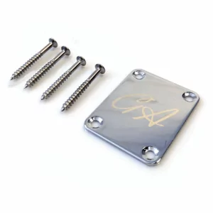 GA Chrome Neckplate with included screws