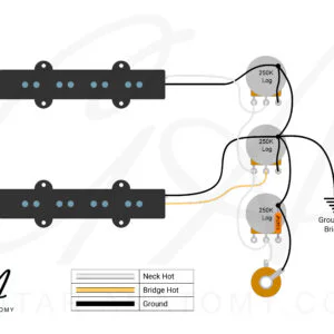 Alternative view of Jazz Bass Wiring Kit – Standard Layout (Alpha Pots)