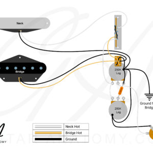 Telecaster Out-of-phase Wiring Diagram - Guitar Anatomy