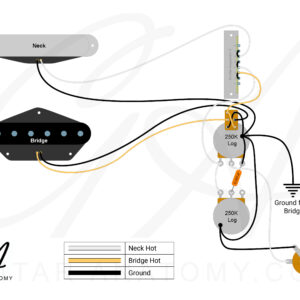 Telecaster Out-of-phase Wiring Diagram - Guitar Anatomy