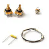 Precision Bass Wiring Kit – Standard Layout – Pro (CTS, Switchcraft, Mallory)