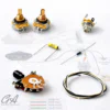 Telecaster Wiring Kit – HS Layout – Pro (CTS, Switchcraft, Mallory)